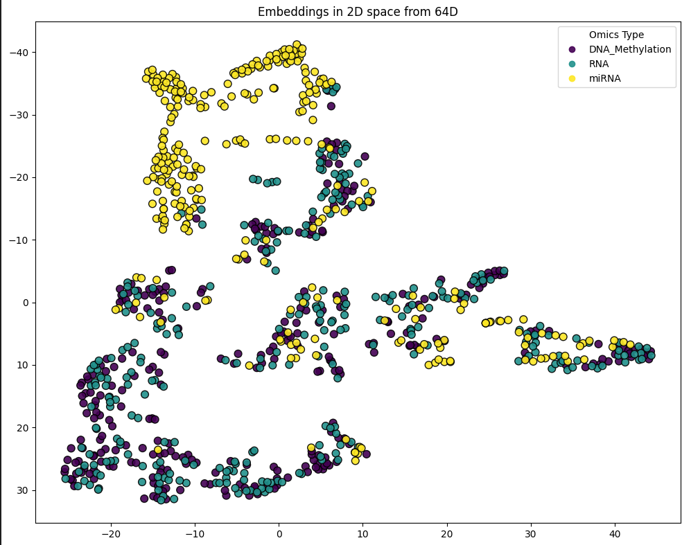 2D Projection of Embeddings from KIPAN Analysis